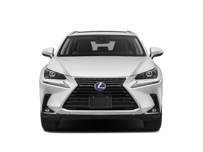 2021 Lexus NX 300h