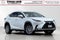 2021 Lexus NX 300h