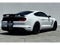 2019 Ford Mustang Shelby GT350 HANDLING PKG