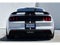2019 Ford Mustang Shelby GT350 HANDLING PKG